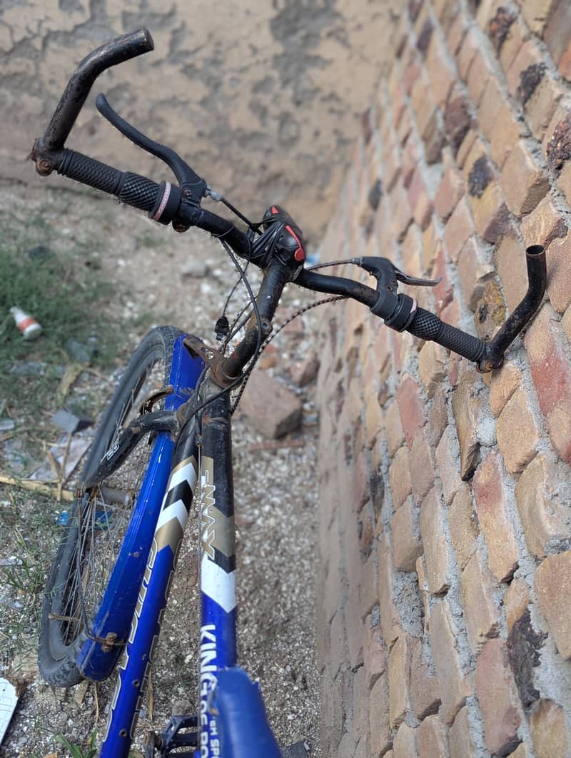 phoenix bicycle 1
