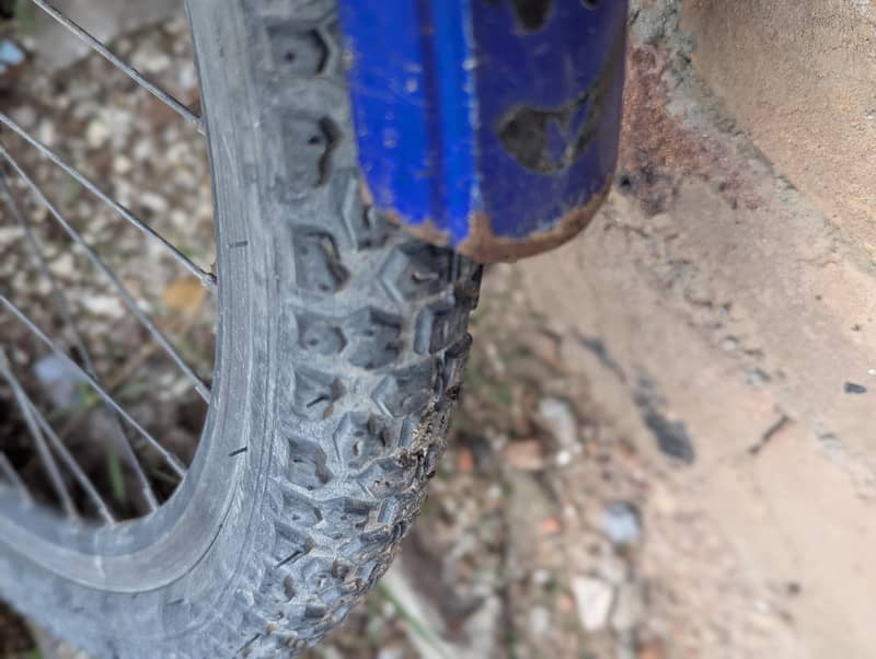 phoenix bicycle 3