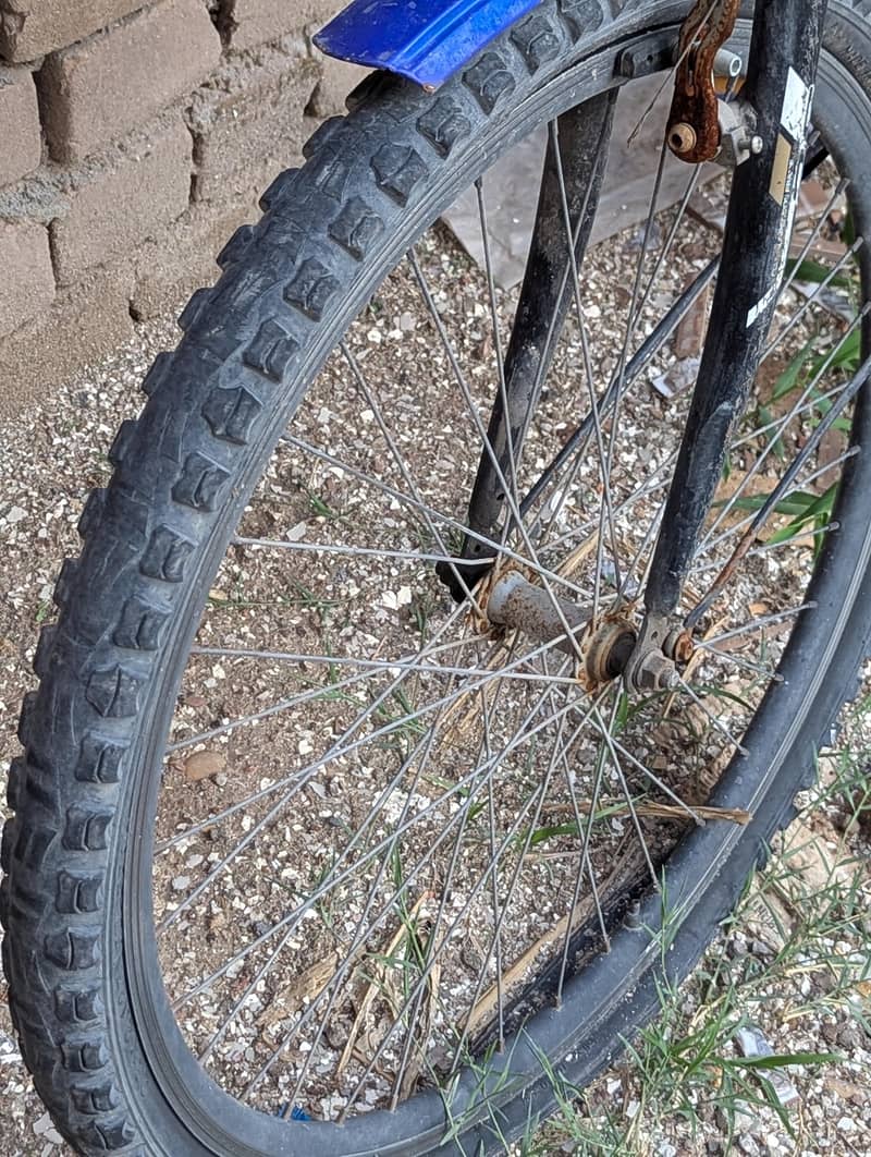phoenix bicycle 4