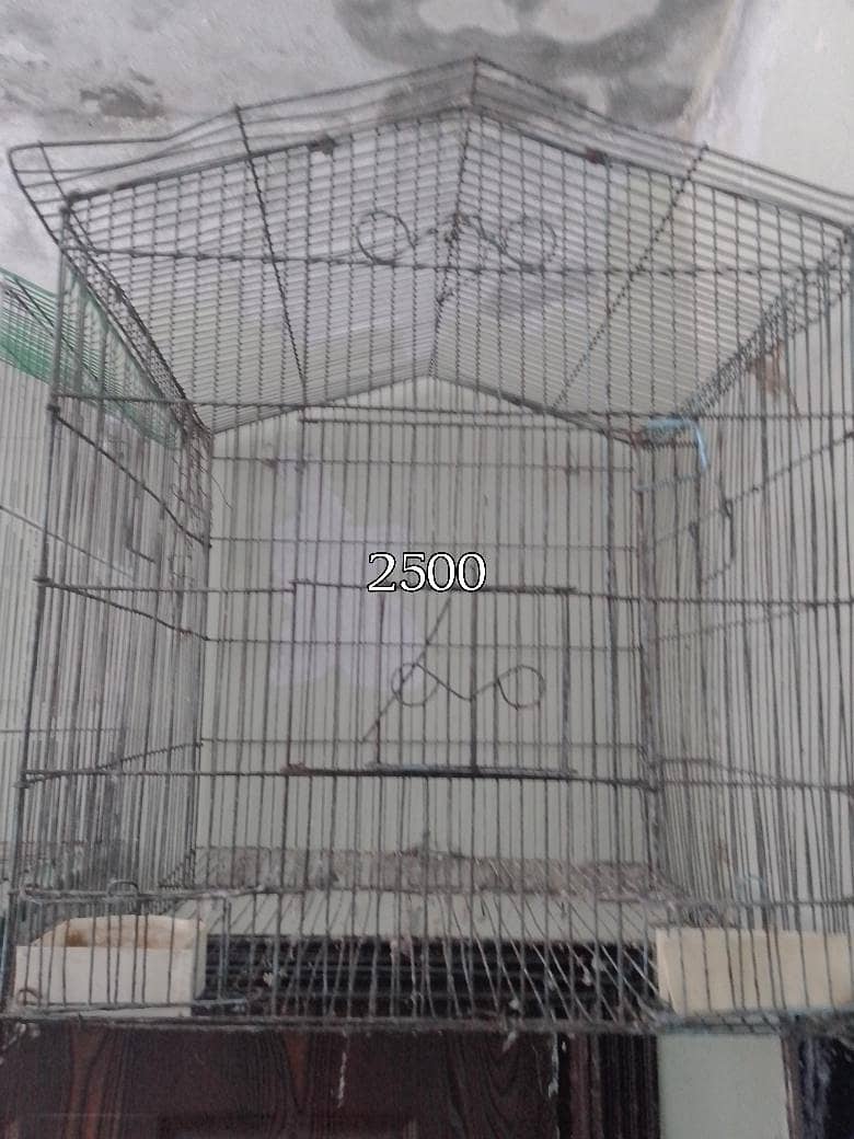 Cages 3