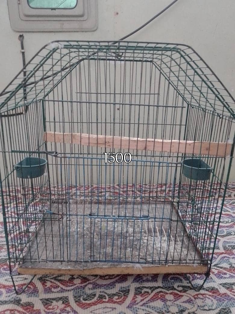 Cages 4