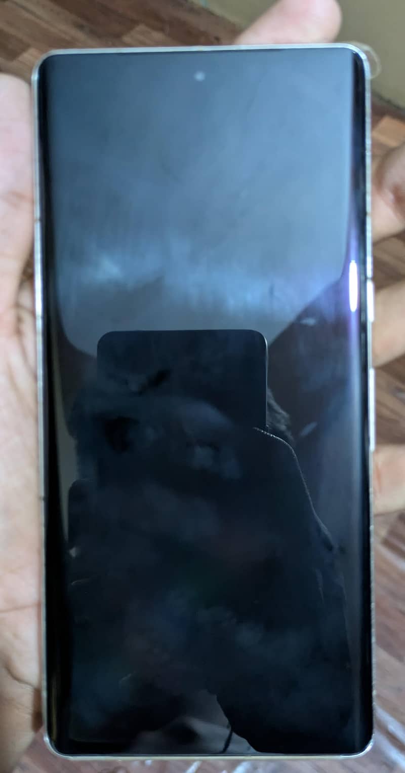 Google Pixel 7 Pro 1