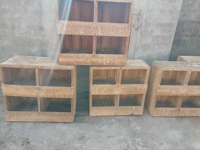 peigeon box