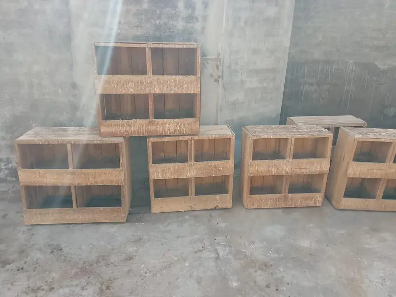 peigeon box — photo 2