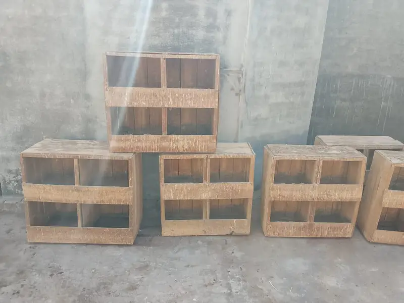 peigeon box — photo 3