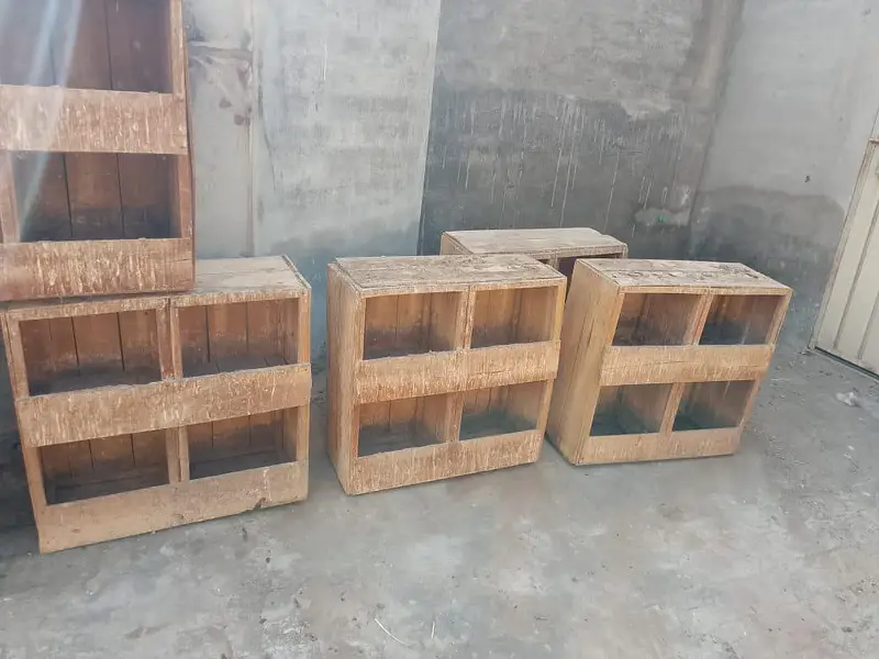 peigeon box — photo 4