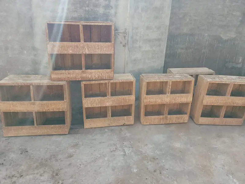 peigeon box — photo 5
