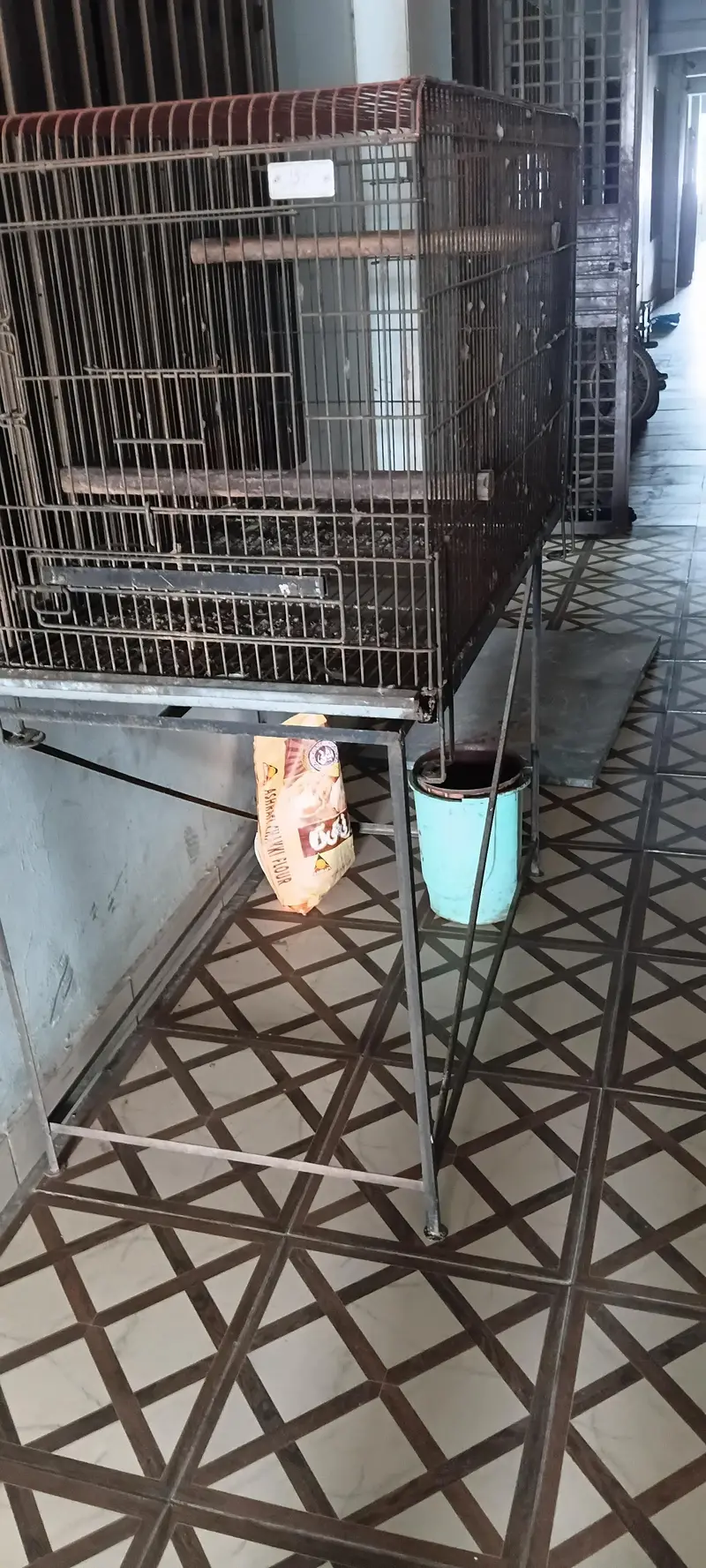 Breeding Cage for sell — photo 4