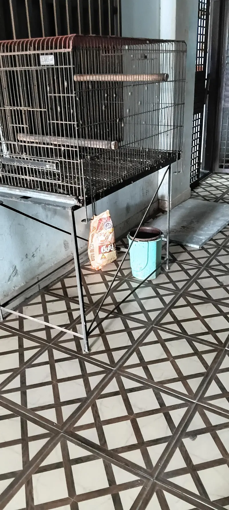 Breeding Cage for sell — photo 5