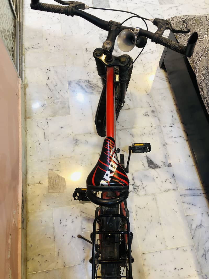 Cycle 1