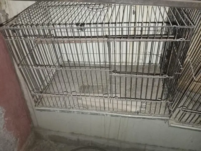 Big bird cages — photo 2