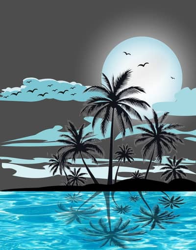 Professional Graphic Designer Available for Hire in Lahore