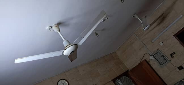Royal feeling fan 100% copper