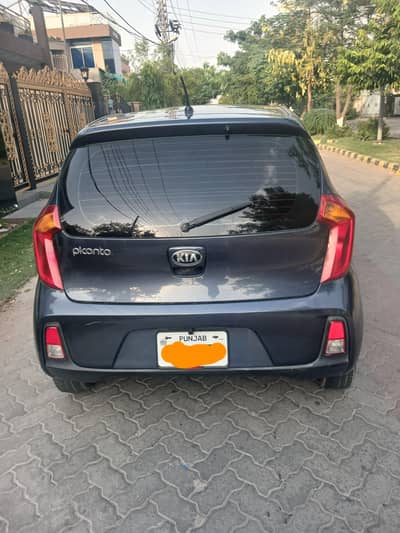 KIA Picanto 2021 03354166345