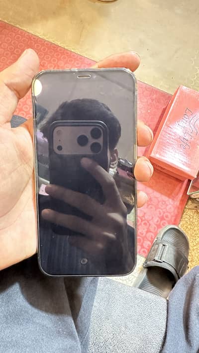 Apple iPhone 12 Pro