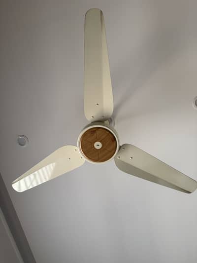 Ceiling Fans
