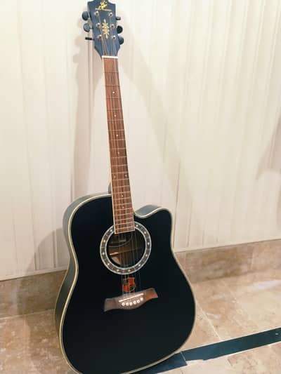 Guitar for beginners