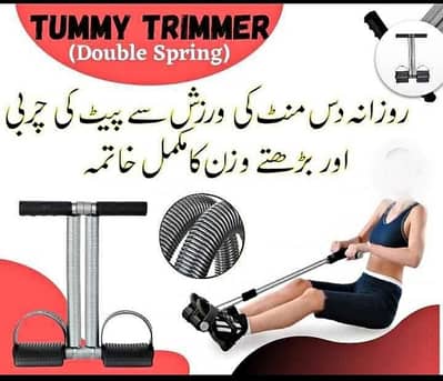Tummy Trimmer Double Spring