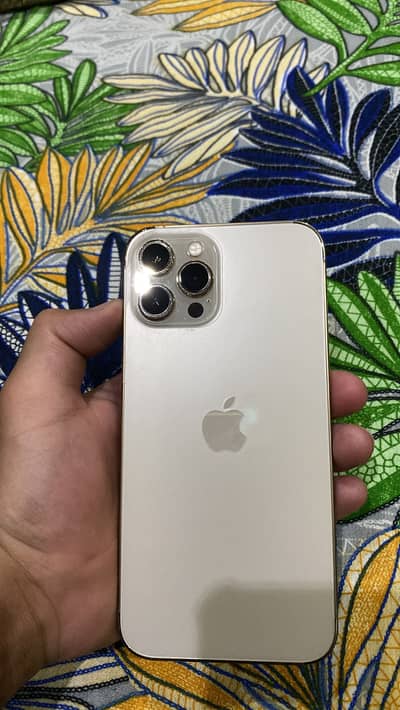 Apple iPhone 12 Pro Max non pta