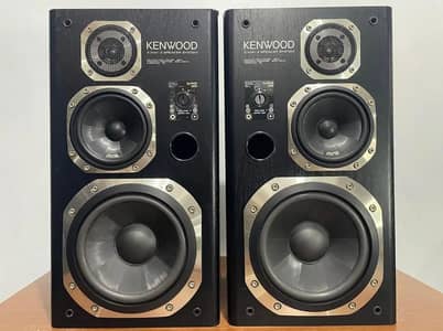 Kenwood Roxy-DG7 Woofer