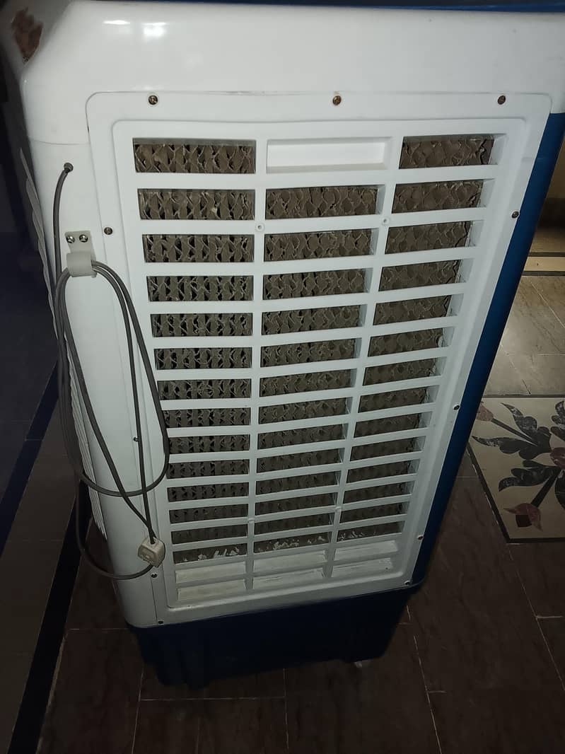 Cooler 1