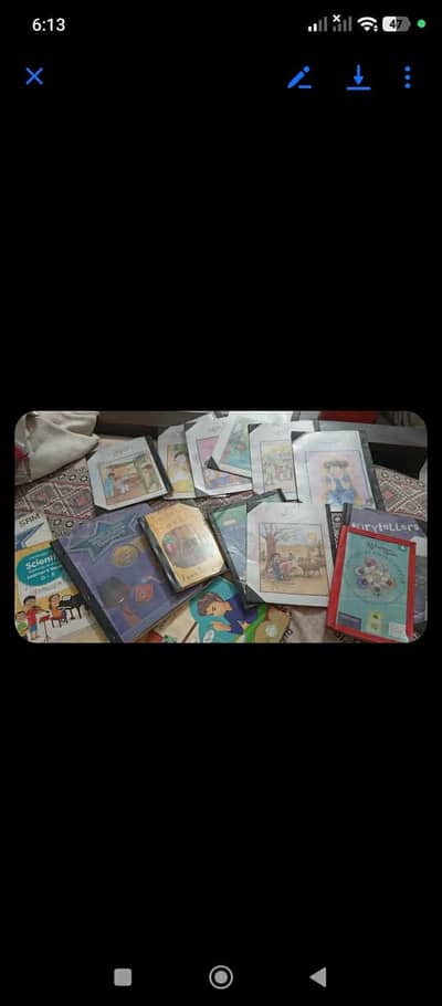 BSS/Beaconhouse school class 4  books