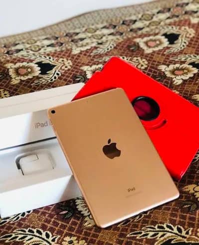 iPad Mini 5