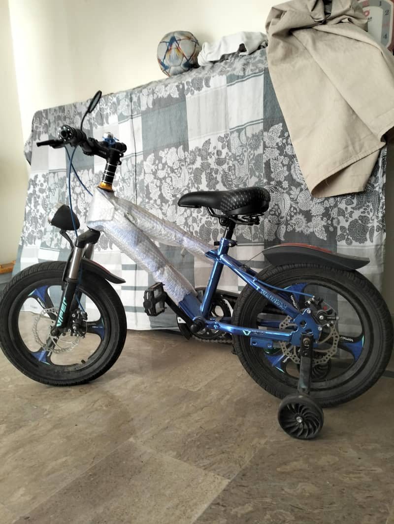 bicycle 2