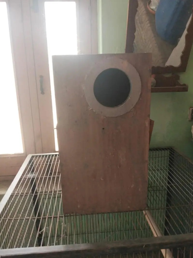 raw pat cage — photo 2