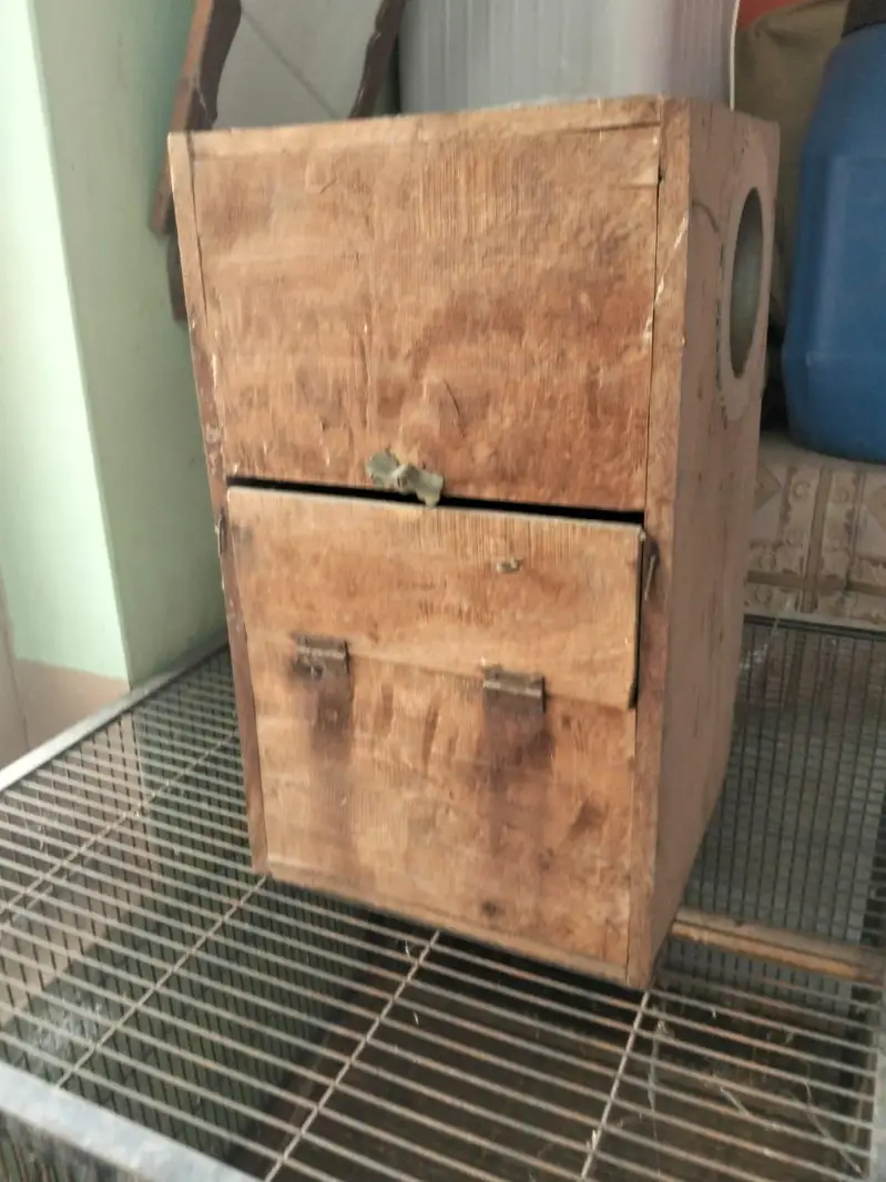 raw pat cage — photo 3