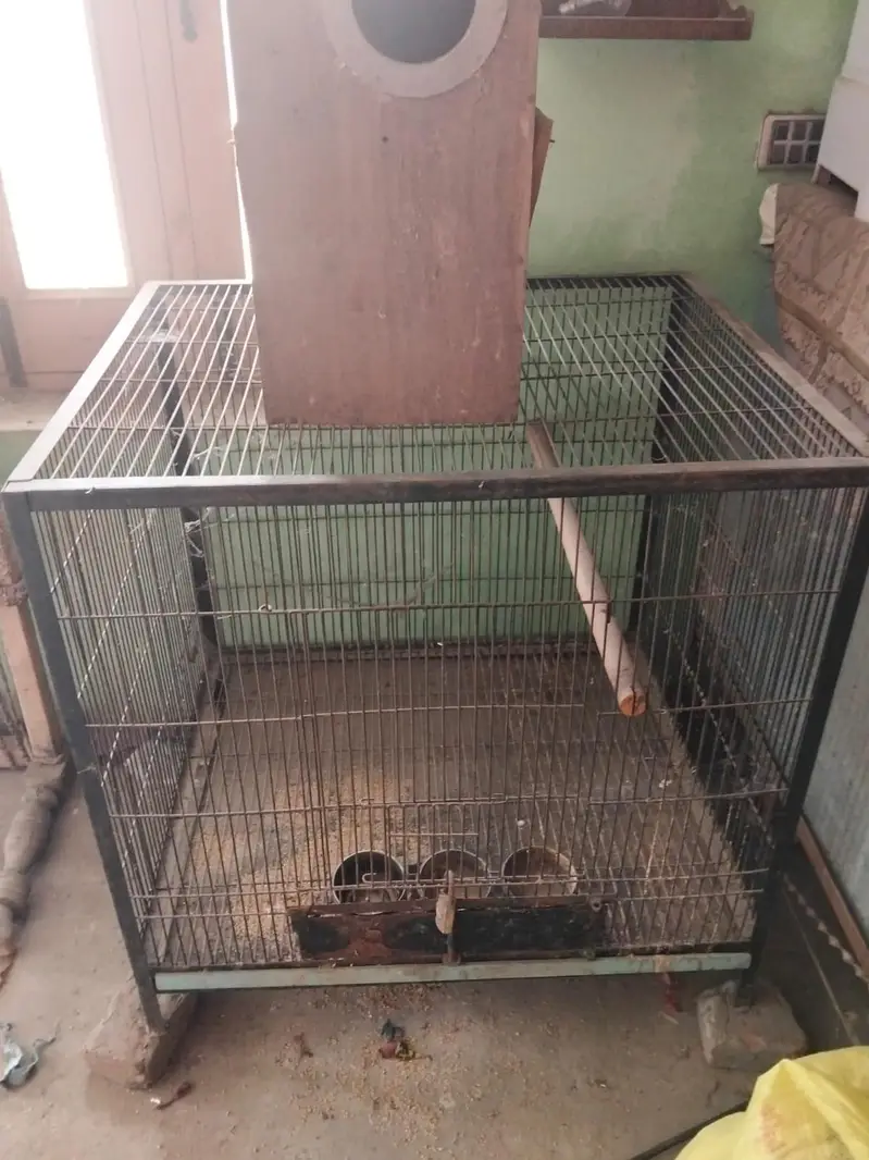 raw pat cage — photo 5