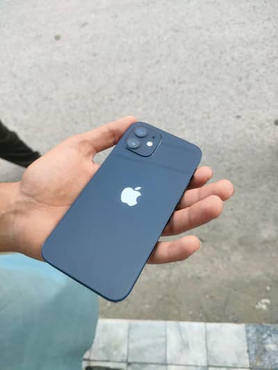 Apple iPhone 12