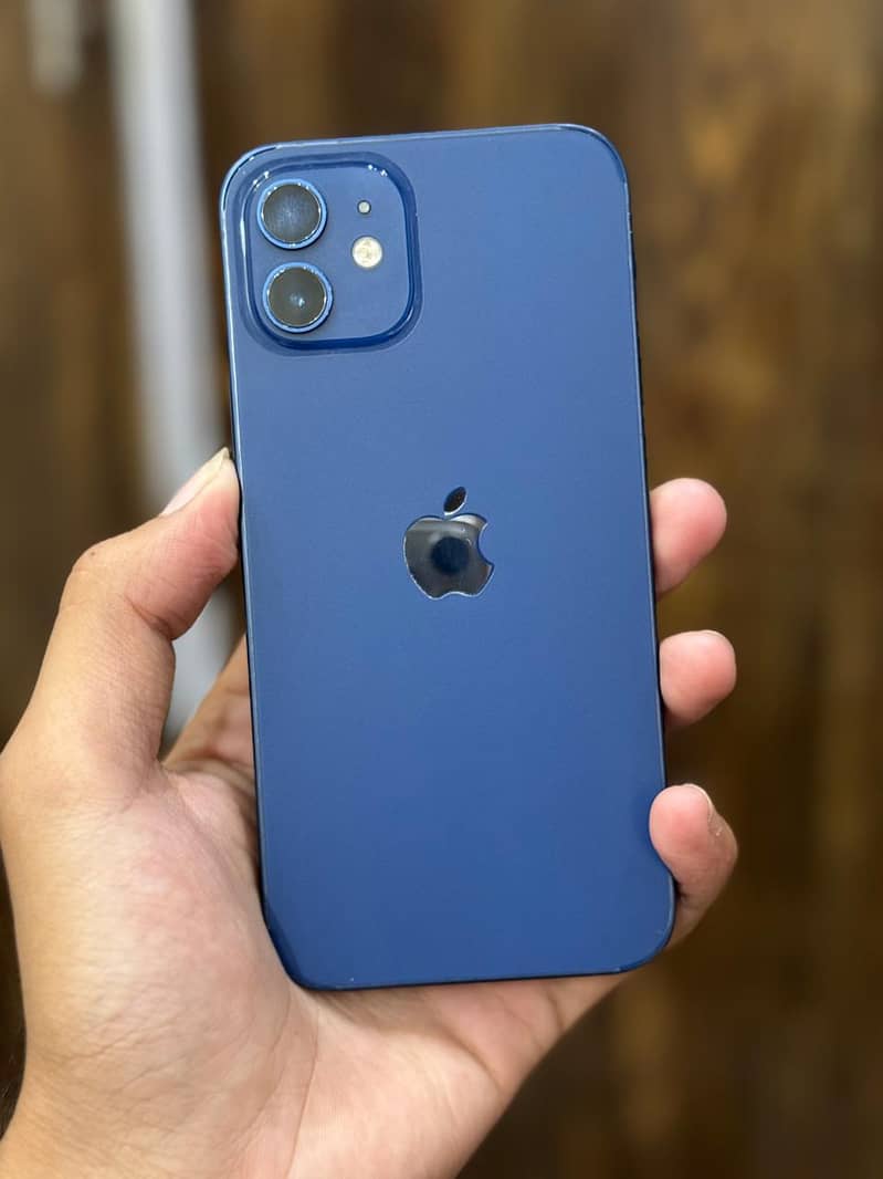 Apple iPhone 12 1