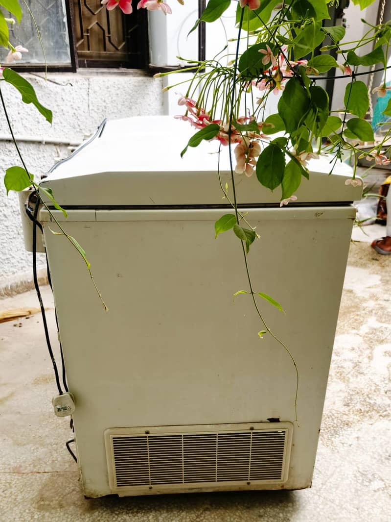 Waves Deep Freezer 2 Door 5