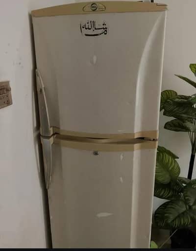 urgent sale pel frege