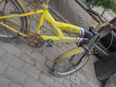 Baby Cycle 03236859829