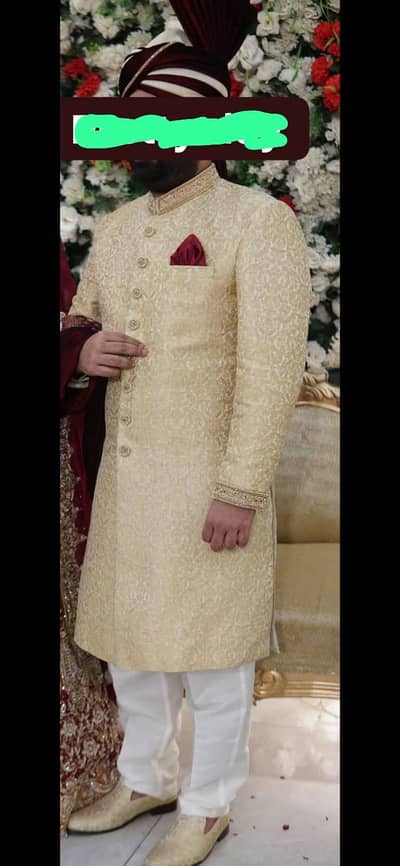 Sherwani Medium Size