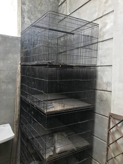 Hens parrot Cage with boxes