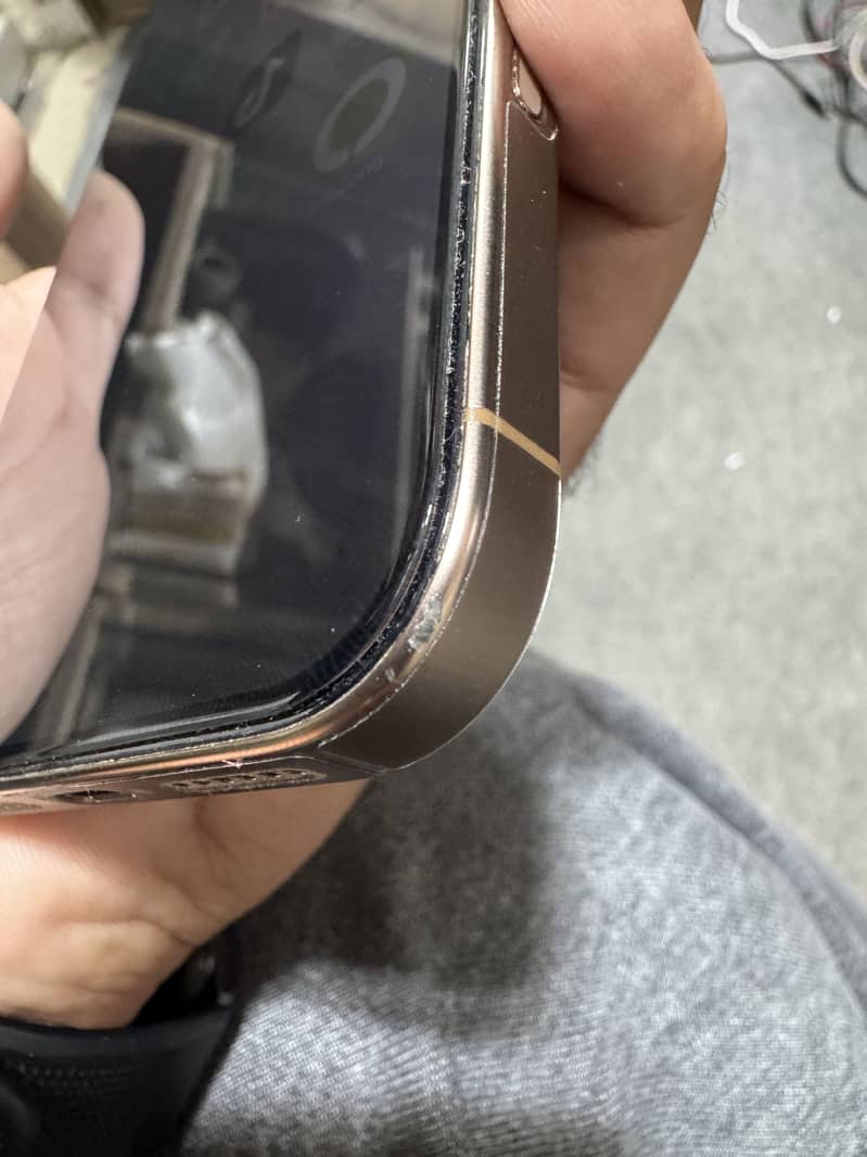 Apple iPhone 16 Pro Max 1