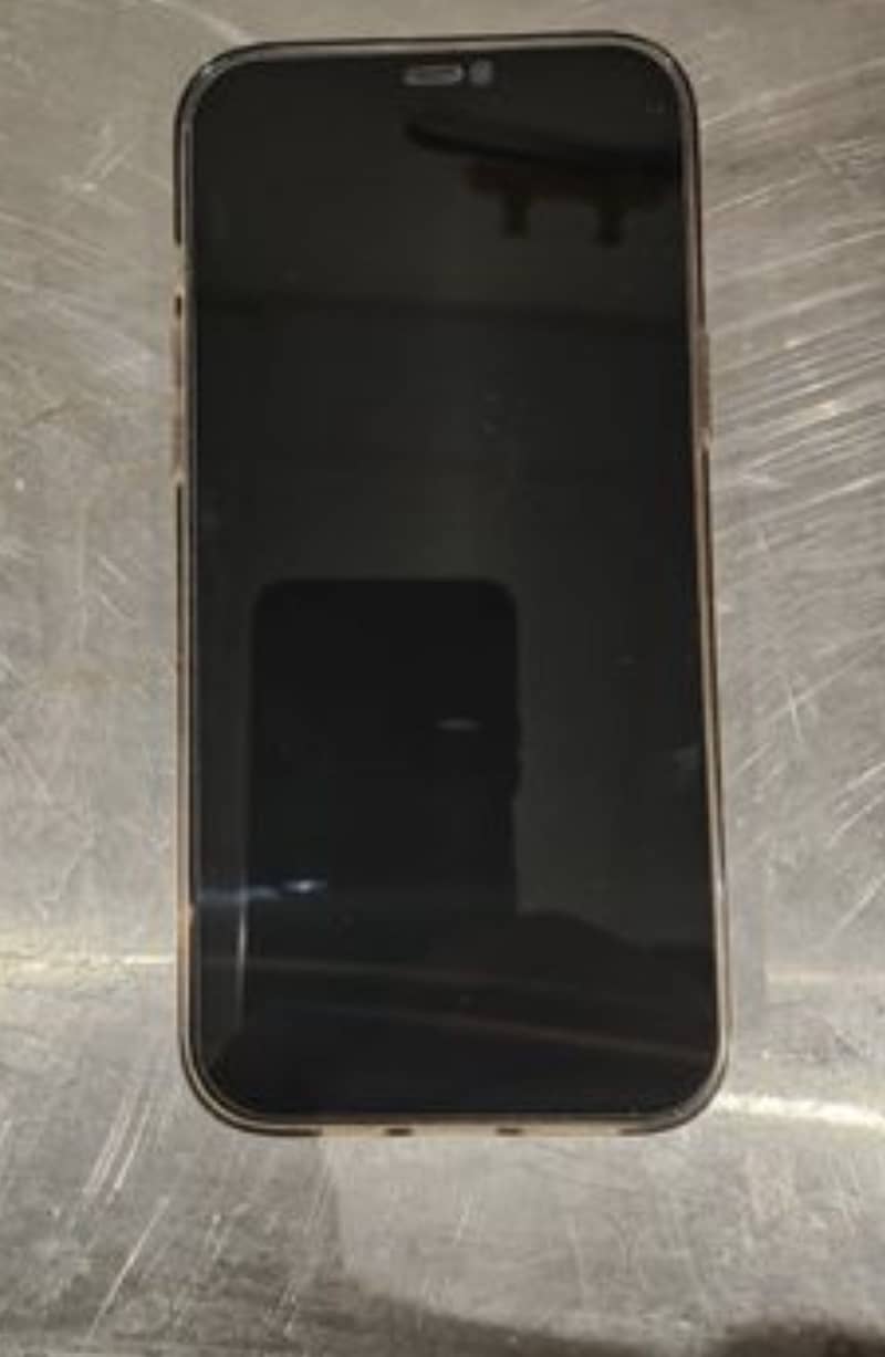 Apple iPhone 12 Pro Max 1