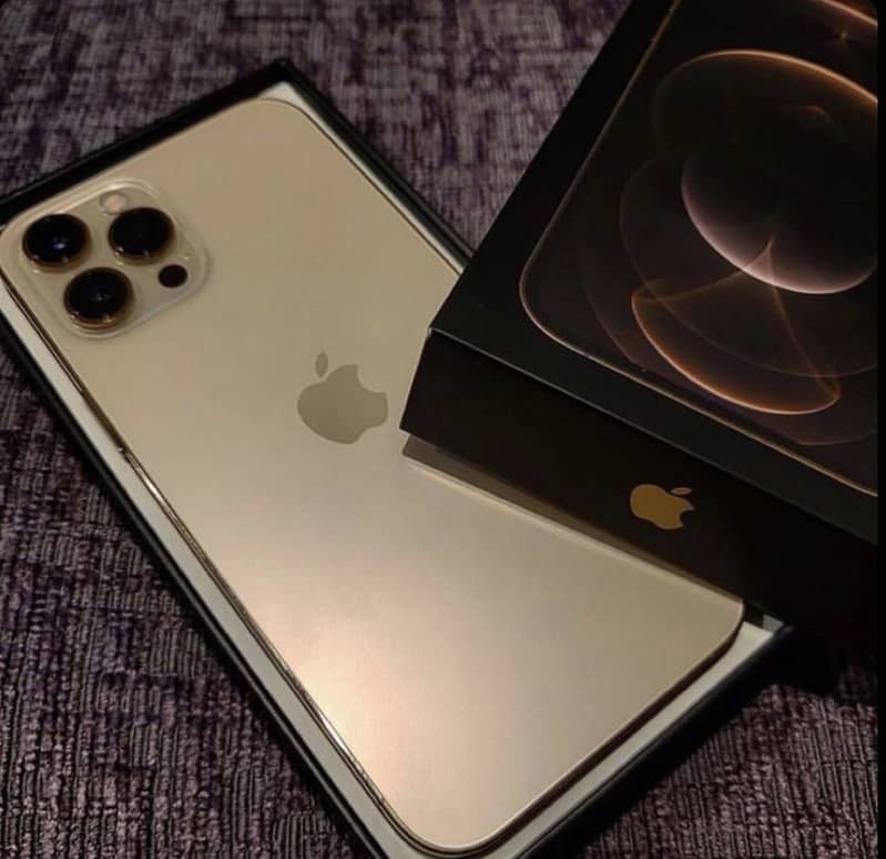 Apple iPhone 12 Pro Max 2