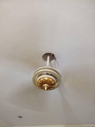 Celling Fan