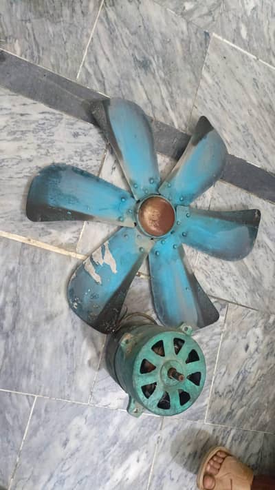 roomcolor Motor with Fan