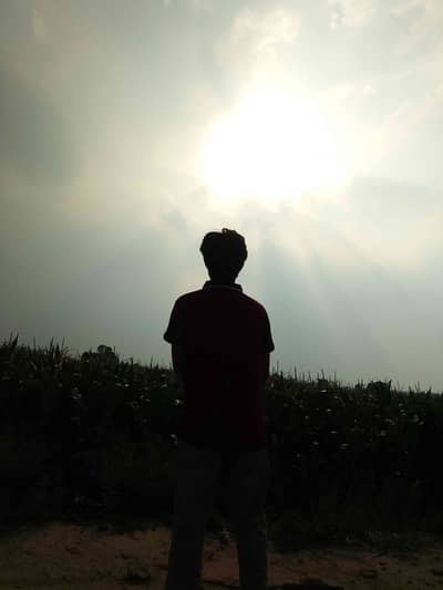 Arain 