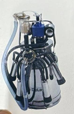 Milking Machine for sale/ Buffalo Milking Bucket Set/ Imported DUVAC