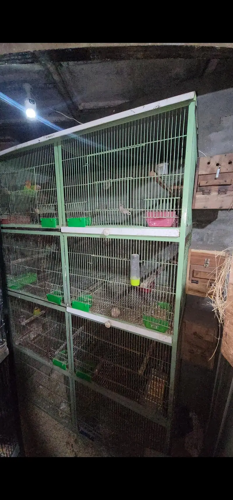 cage 8 portion 4 portion 3 portion and single cage — photo 3