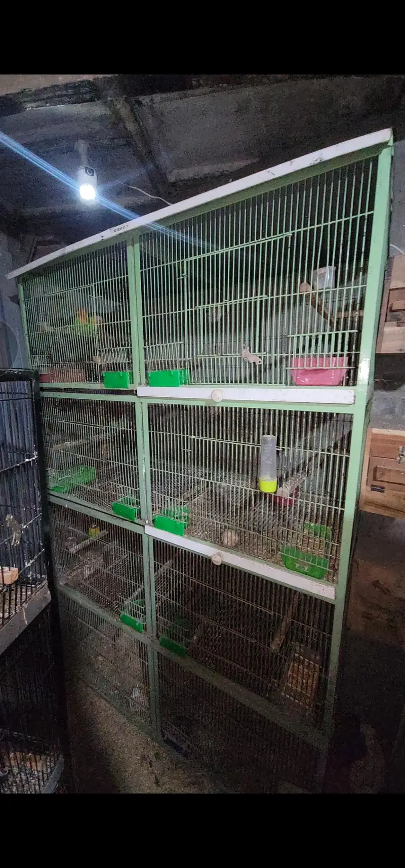 cage 8 portion 4 portion 3 portion and single cage — photo 4