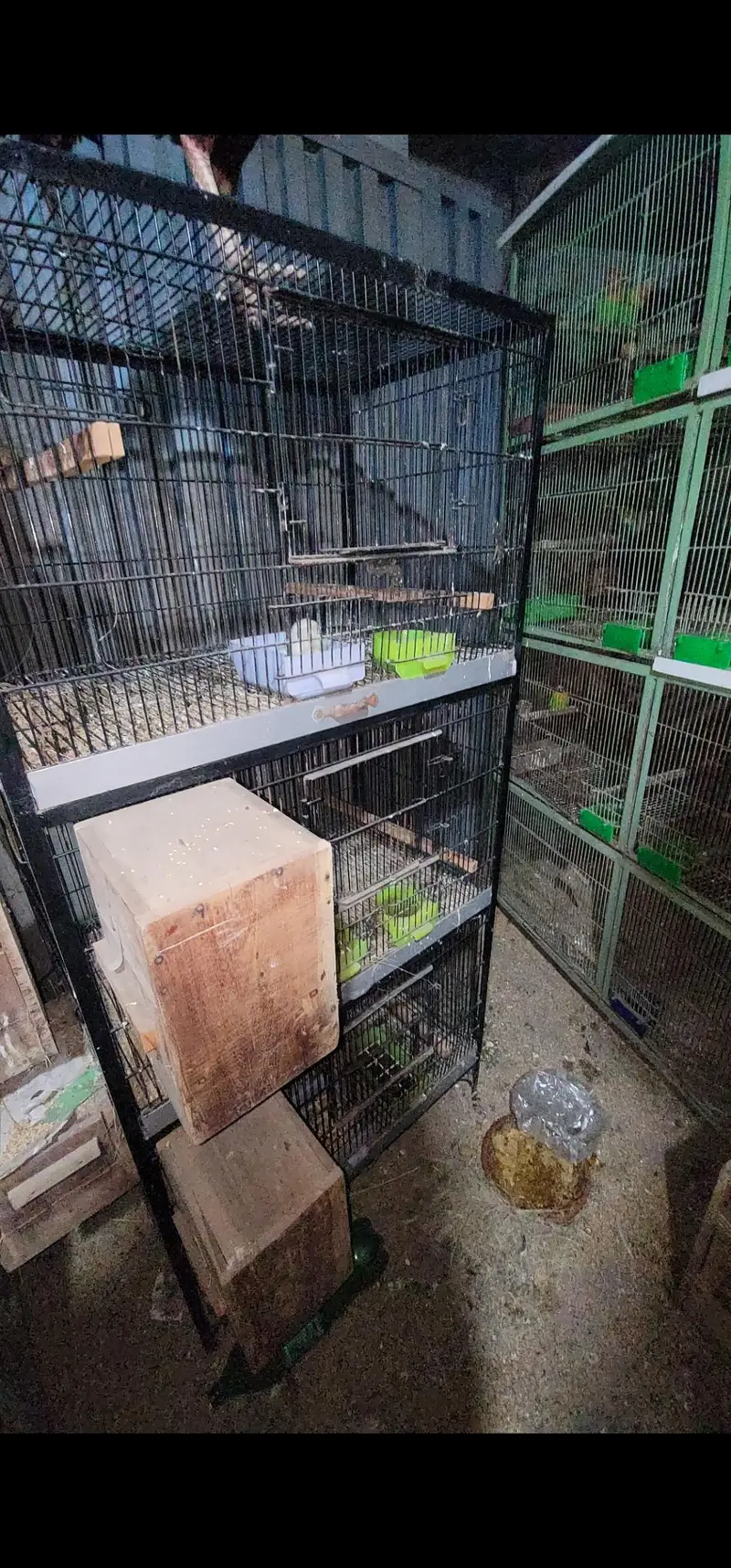cage 8 portion 4 portion 3 portion and single cage — photo 5