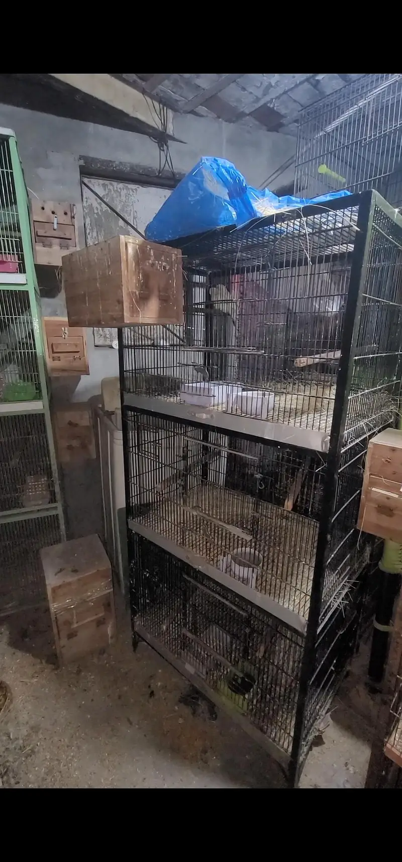 cage 8 portion 4 portion 3 portion and single cage — photo 6