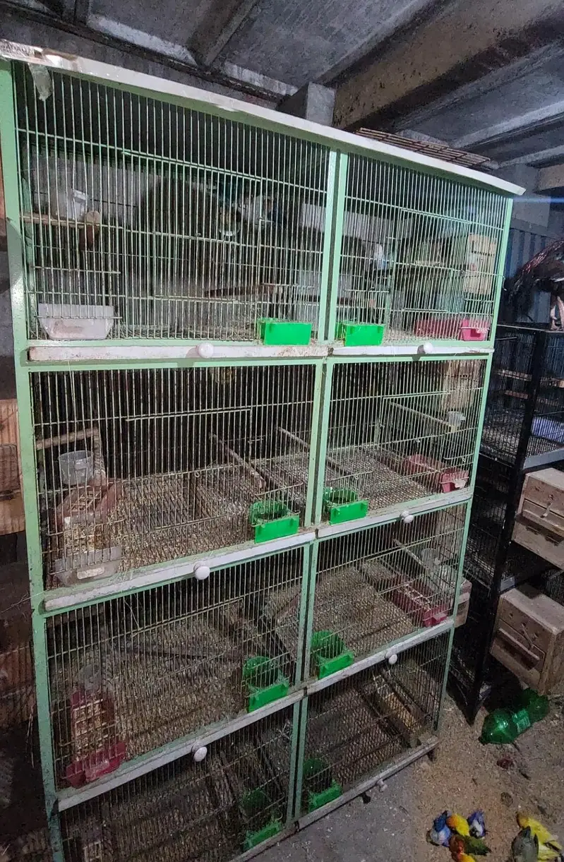 cage 8 portion 4 portion 3 portion and single cage — photo 7